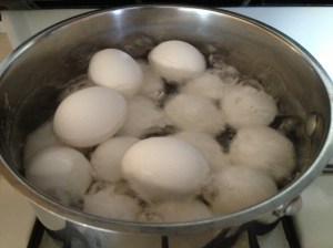 Boiling The Eggs